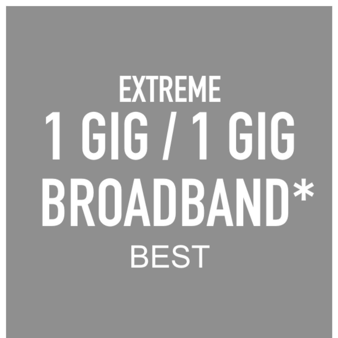1 Gig