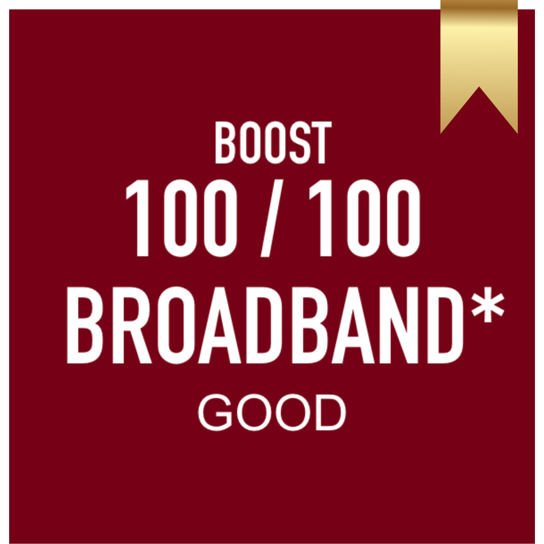 100 Premium