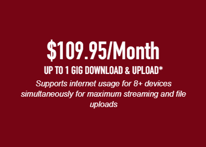 1 GIG / 1 GIG